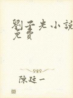 刘子光小说全文免费