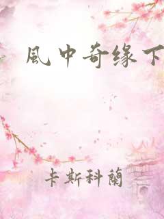 风中奇缘下载