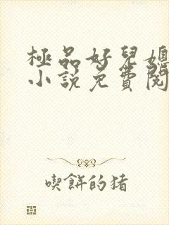 极品好儿媳苏灿小说免费阅读