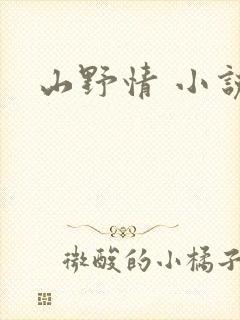 山野情 小说