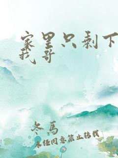 家里只剩下我和我哥