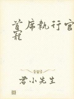 首席执行官的绝宠