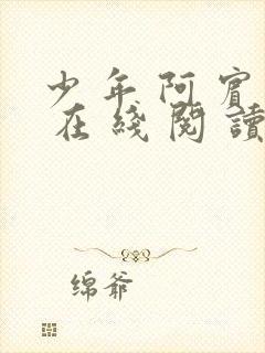 少 年 阿 宾 在 线 阅 读