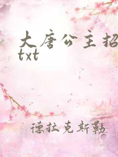大唐公主招亲记txt