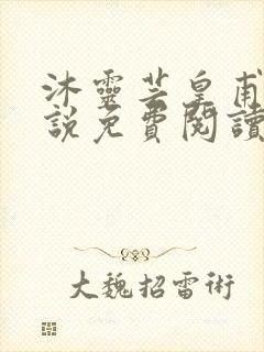 沐灵芸皇甫霆小说免费阅读