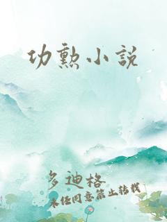 功勋小说