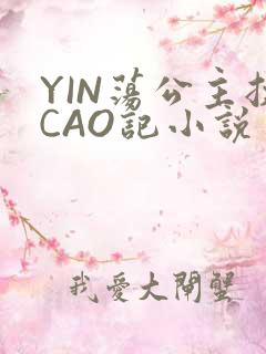 YIN荡公主挨CAO记小说