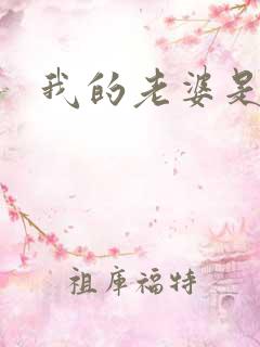 我的老婆是火影