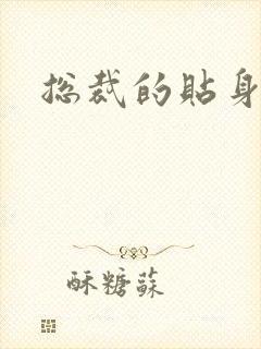 总裁的贴身女佣