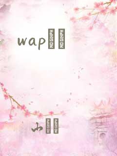 wapС˵