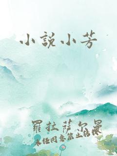 小说小芳
