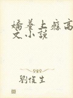 娇养上瘾高H爽文小说