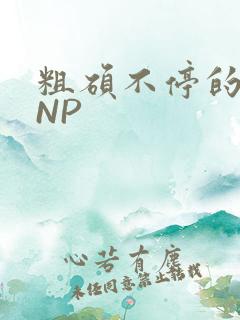 粗硕不停的进出NP