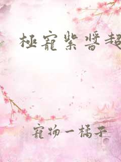 极宠紫酱超人