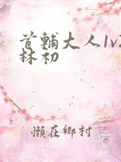 首辅大人1v2林初