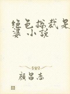 绝色总裁是我老婆 小说