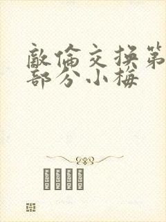 敌伦交换第11部分小梅