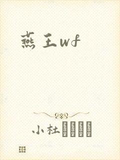 燕王wf