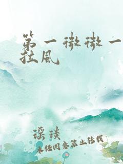 第一微微一笑很拉风