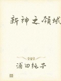 新神之领域