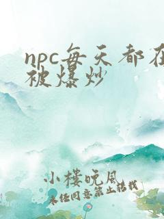 npc每天都在被爆炒