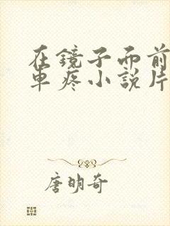 在镜子面前做开车疼小说片段