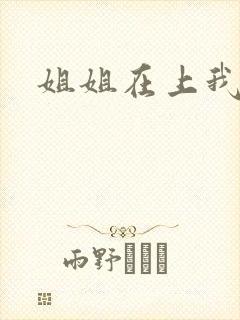 姐姐在上我在下