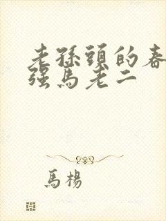老孙头的春天马强马老二