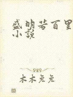 盛明若百里轻尘小说