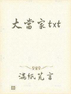 大当家txt