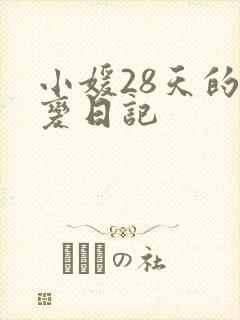 小媛28天的剧变日记