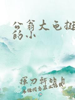 公翁大龟挺进我的小