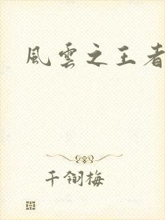 风云之王者人生