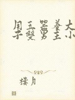 用玉器养大的皇子双男主小说