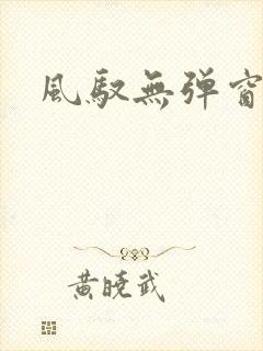 风驭无弹窗