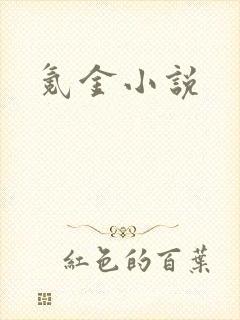 氪金小说