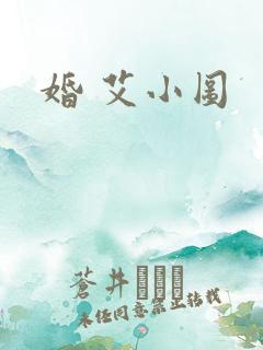 婚 艾小图