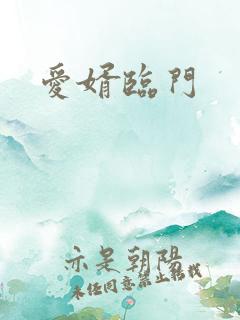 爱婿临门