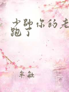 少帅你的老婆又跑了