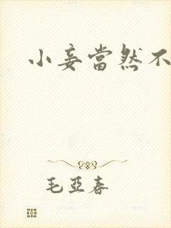 小妾当然不如妻