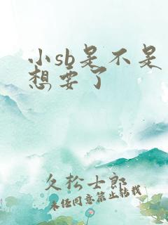 小sb是不是又想要了