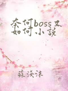 奈何boss又如何小说