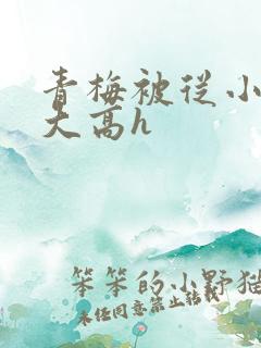 青梅被从小玩到大高h