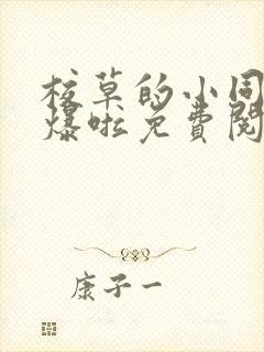 校草的小同桌撩爆啦免费阅读