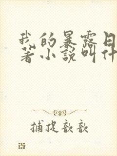 我的暴露日记原著小说叫什么