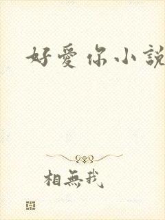 好爱你小说