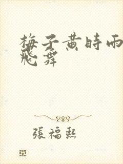 梅子黄时雨流光飞舞