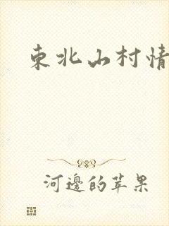 东北山村情事