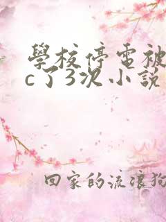 学校停电被同桌c了3次小说网