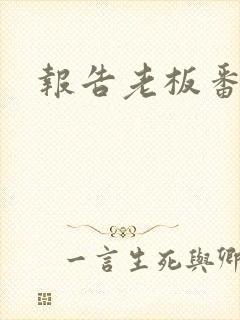 报告老板番外篇